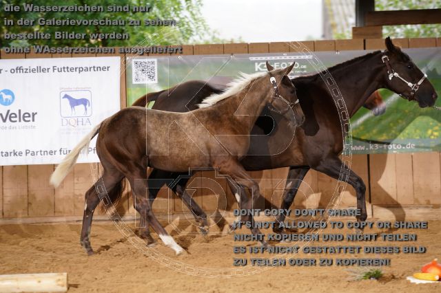 s_K3F05039.JPG